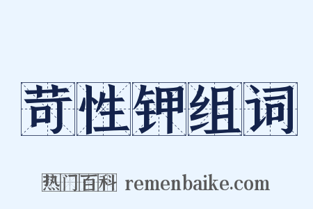 苛性钾组词是什么意思的图片